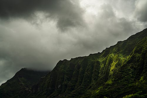 Foto stok gratis angin ribut, hijau, langit mendung