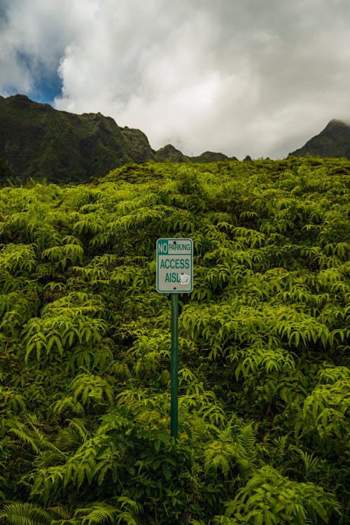 Gratis stockfoto met bergen, bergketen, bomen