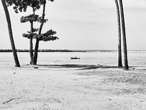 Free stock photo of black and white Stock Photo