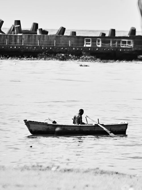 Free stock photo of black and white Stock Photo