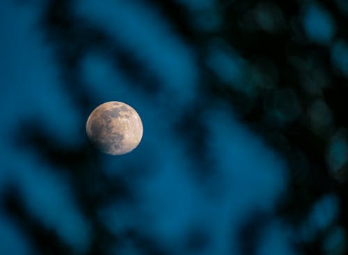 Free stock photo of full moon, moon