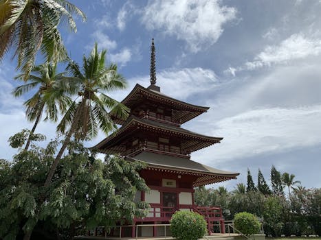 Beautiful pagoda amidst palm trees at Lahaina Jodo Mission, Hawaii under a blue sky.