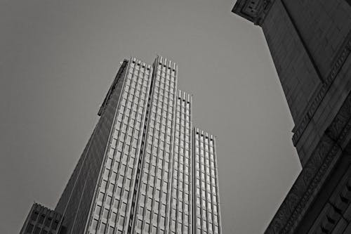 Free stock photo of blackandwhite, sanfrancisco