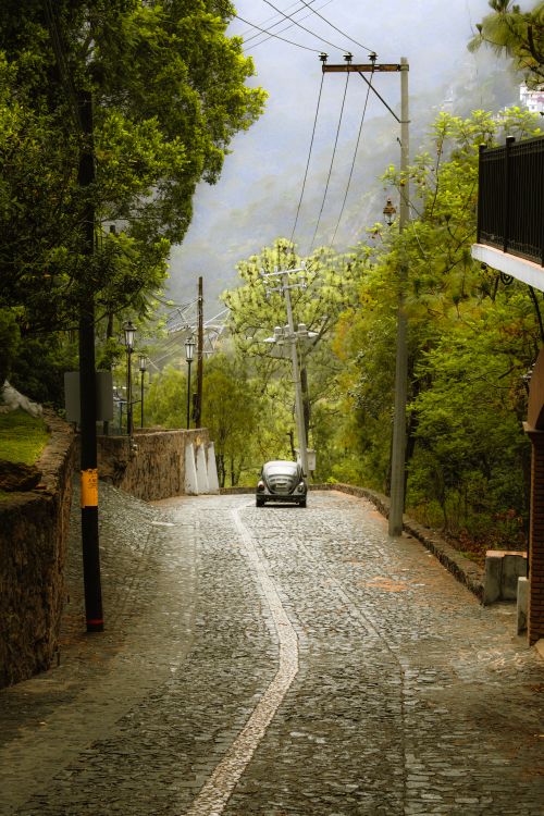 Free A vintage car drives down a tranquil cobblestone street lined with lush green trees. Stock Photo