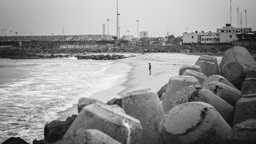 Fotobanka s bezplatnými fotkami na tému čierny a biely, fotografie v odtieňoch sivej, morský breh