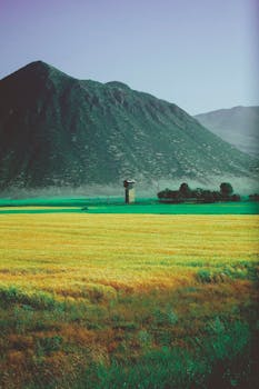 Vibrant countryside landscape featuring lush grass fields and towering mountains in the background.