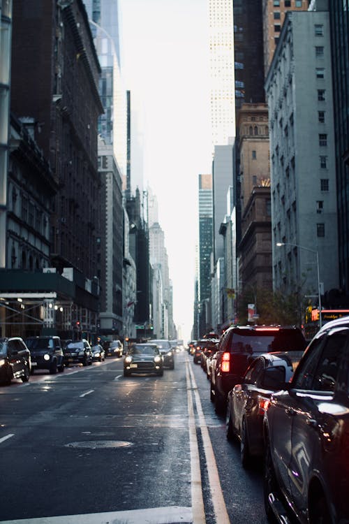 Cars on Road Between High Rise Buildings