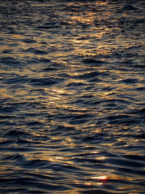 Free Close-up of golden ripples on a calm water surface at sunset, reflecting warm sunlight. Stock Photo