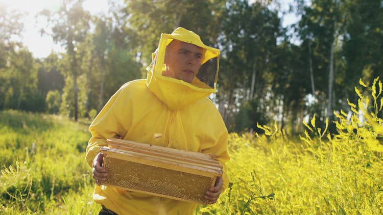 Beekeeper In Suit Carrying Honeycombs