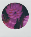 Free stock photo of polaroid