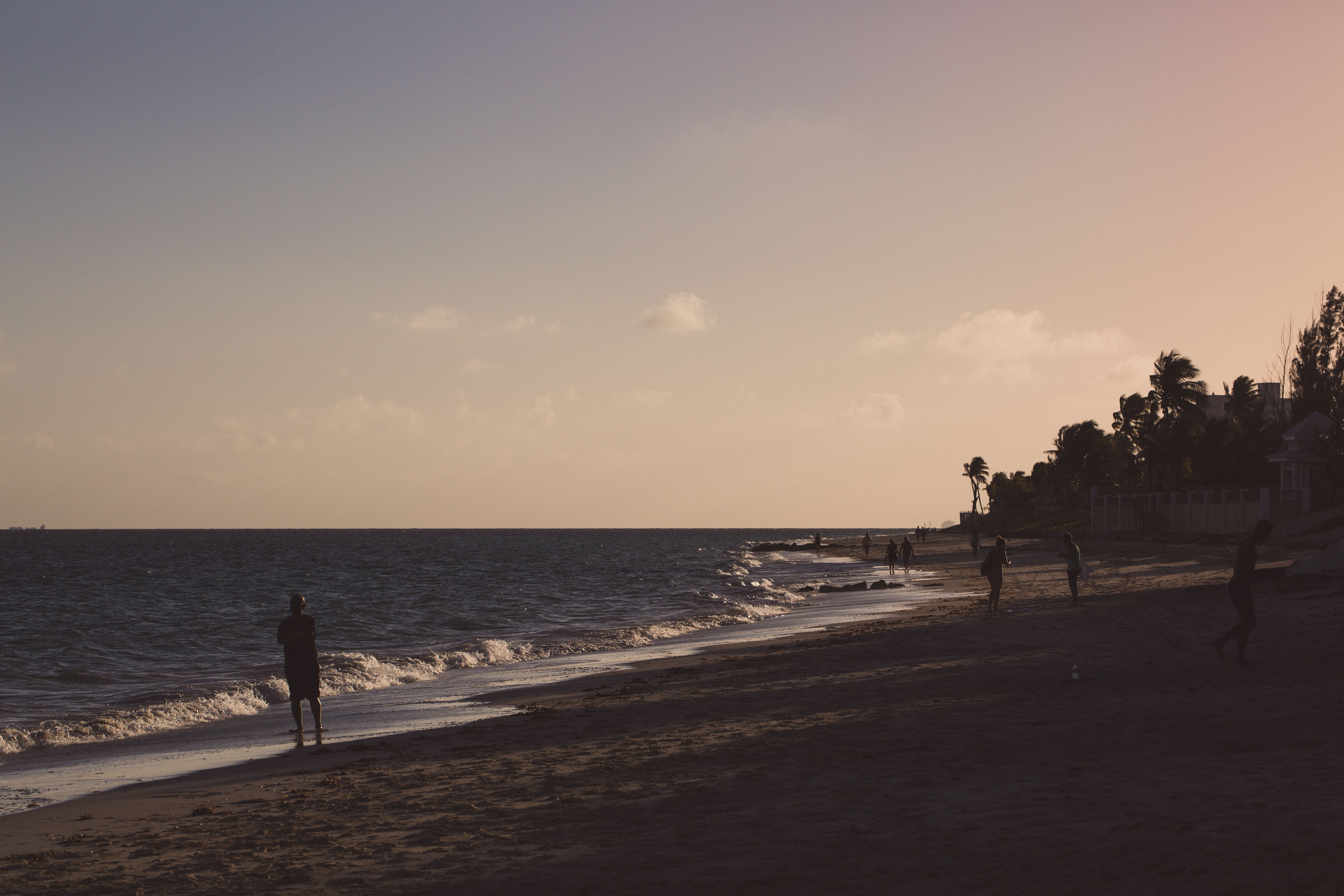 People walking along a tropical beach at sunset