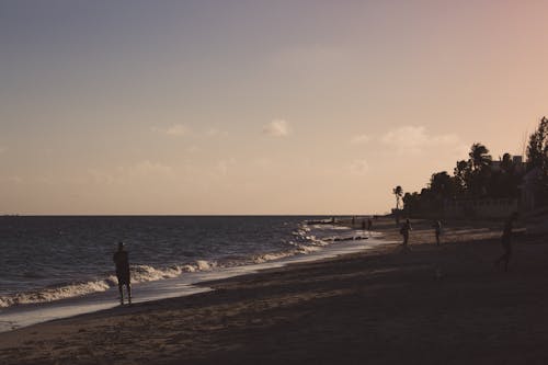 Бесплатное стоковое фото с волны, люди, морской берег
