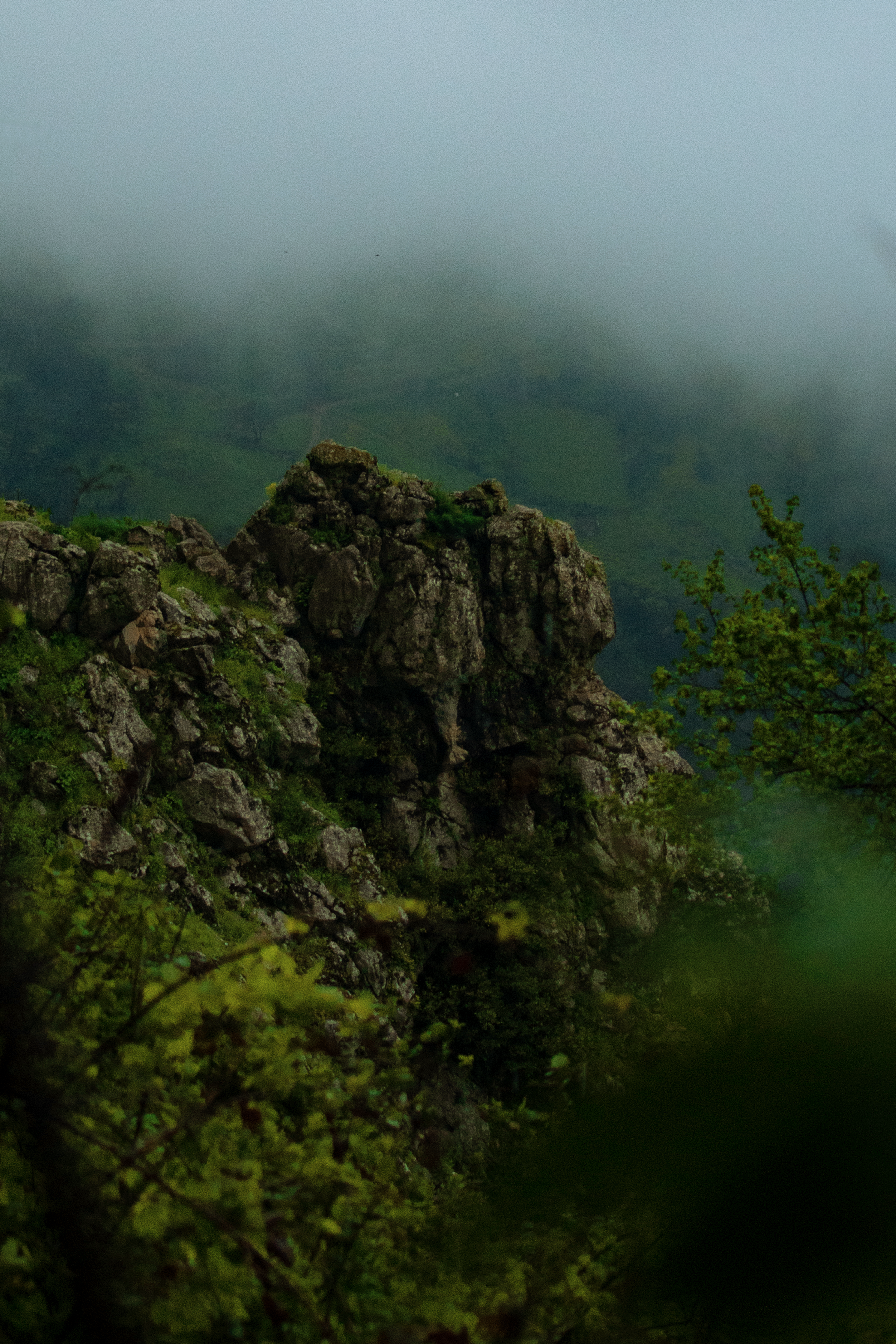 Misty rocky terrain with lush greenery in Algerian mountains creates a serene scenic view.