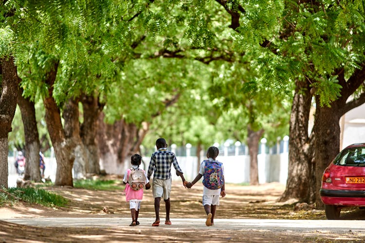 Back View Of Kids Walking On Pathway Between Green Trees