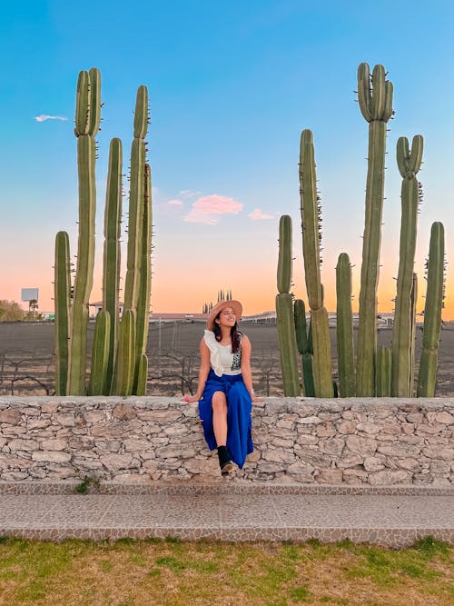 Portrait of a Woman at Sunset