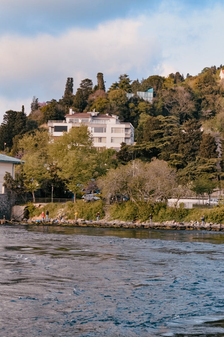 People On River Shore By Forest