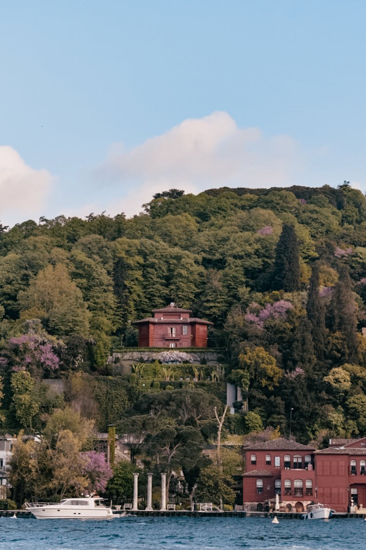 Photo Of A Houses On The Hill At The Water