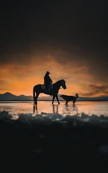 A rider silhouetted against a stunning sunset on a beach with a dog beside them.