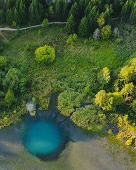 Drone shot of a vibrant blue lake surrounded by dense green trees and rich foliage in summer.