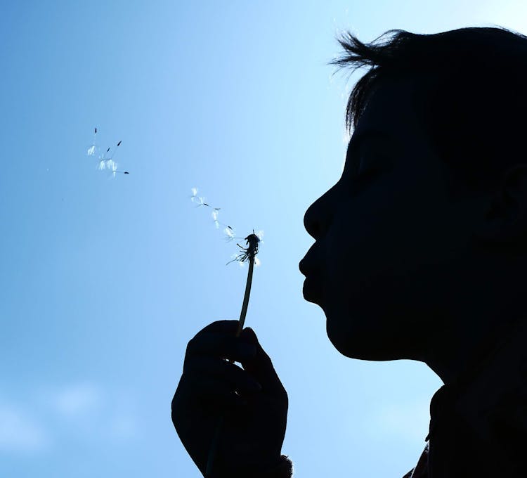 Silhouette Of A Person Blowing The Dandelion