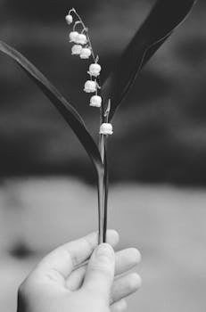 Image by Tamara Elnova