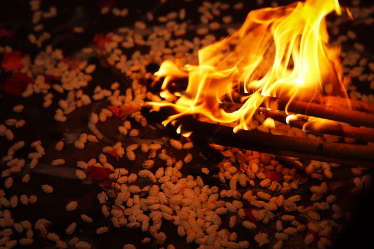 Hindu Havan And Agni