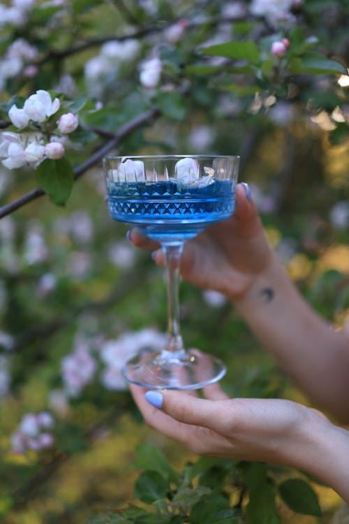 Blue Liquid in Clear Wine Glass