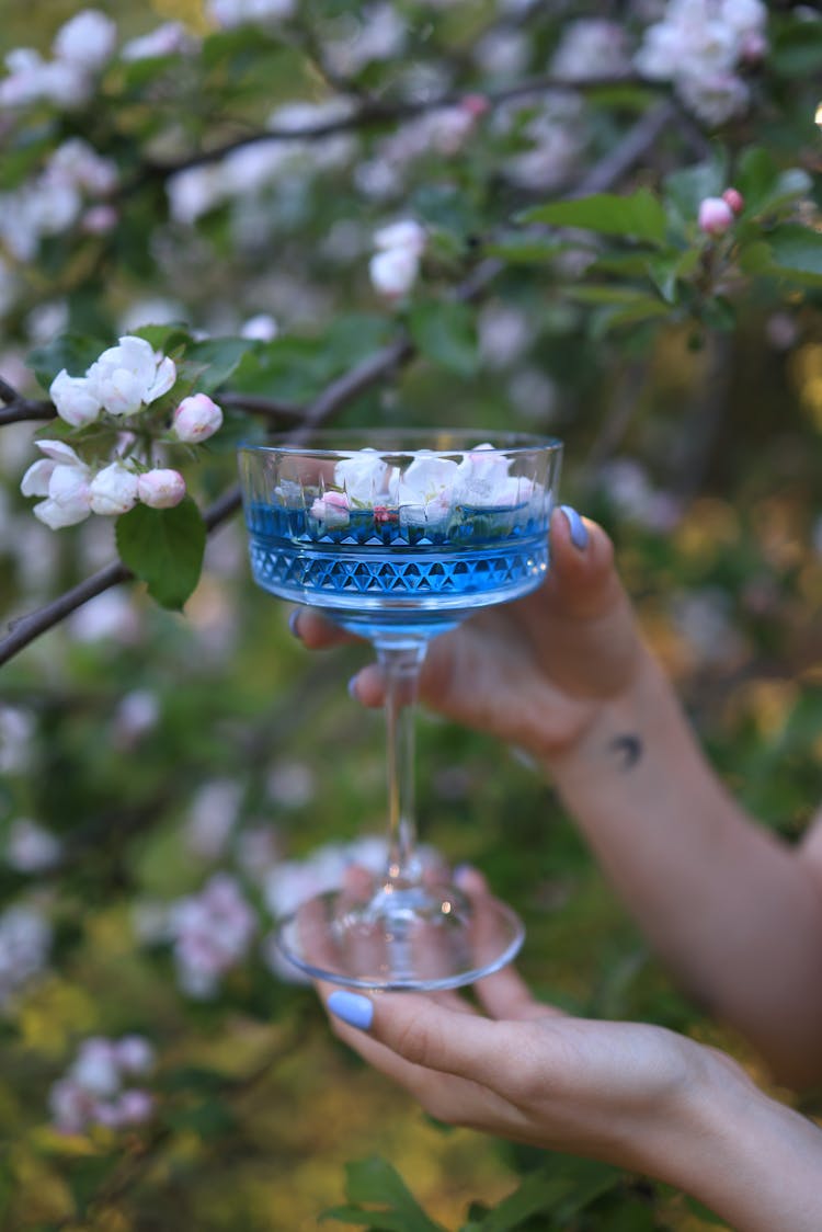 Hands Holding Decorative Glass Against Tree Branches