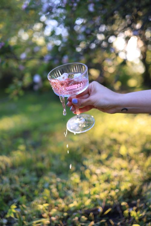 Free A close-up of a hand holding a glass of pink lemonade, surrounded by lush greenery. Stock Photo