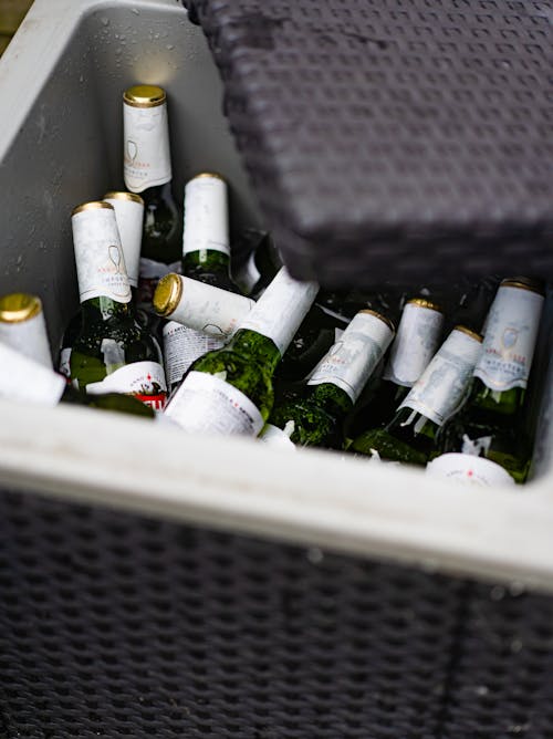 Chilled Beer Drinks in the Mini Fridge