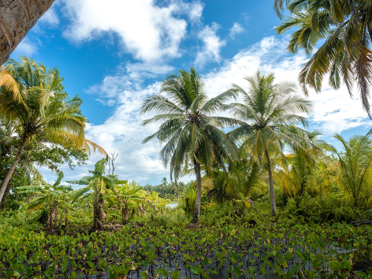 5 Day Stress, Sleep & Energy Reset Retreat in Belize 3