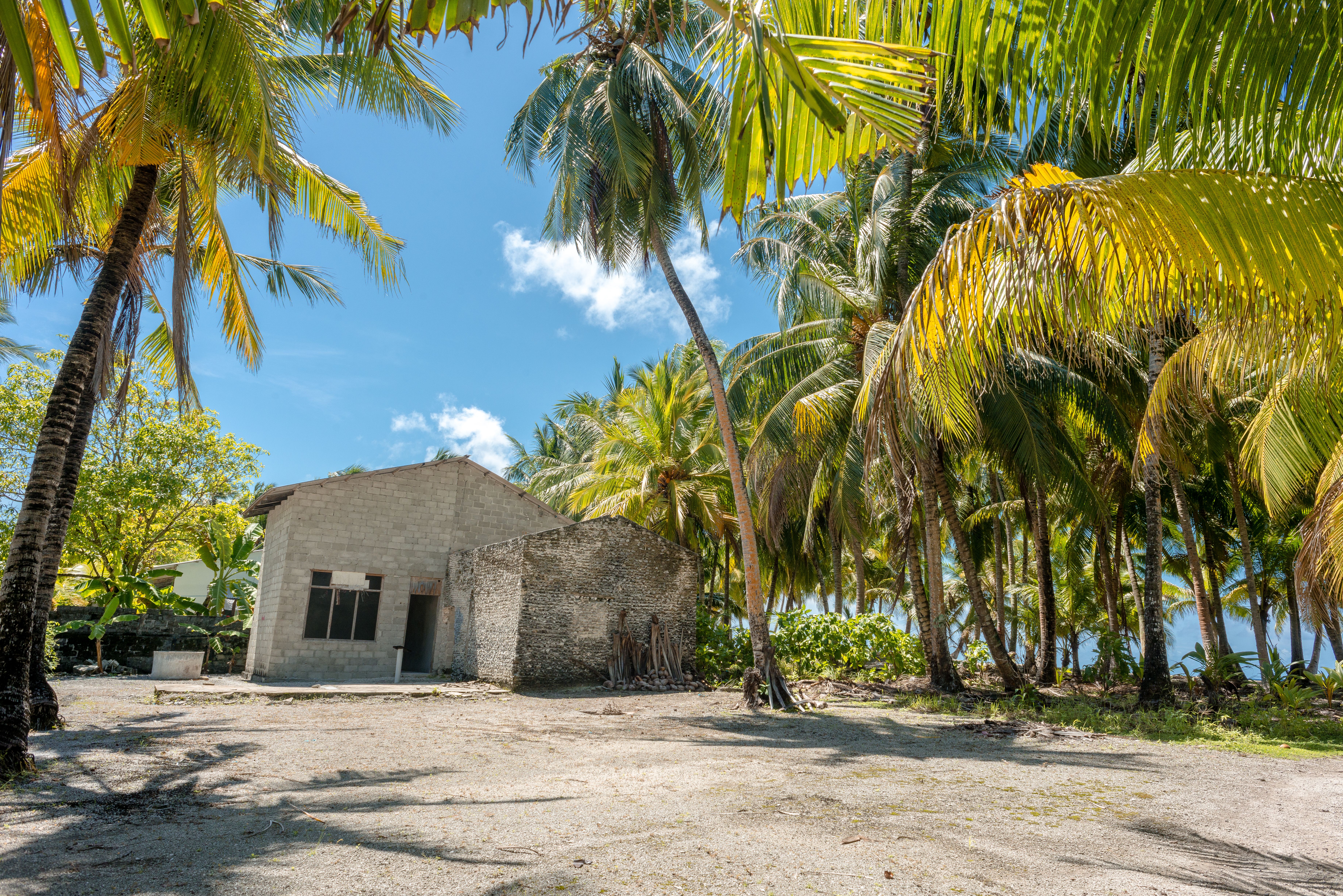 A tranquil tropical scene featuring a rustic house surrounded by lush coconut palms under a clear blue sky.