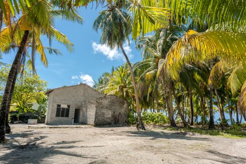 Free A tranquil tropical scene featuring a rustic house surrounded by lush coconut palms under a clear blue sky. Stock Photo