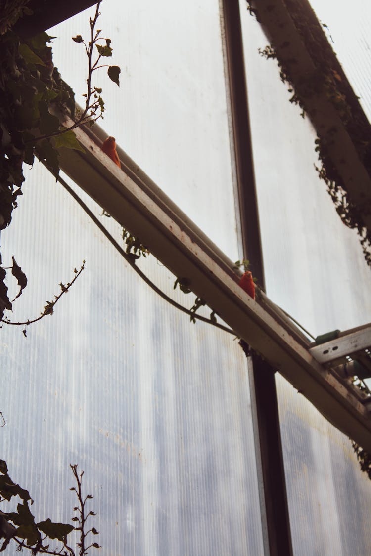 Brown Wooden Frame On Glass Window