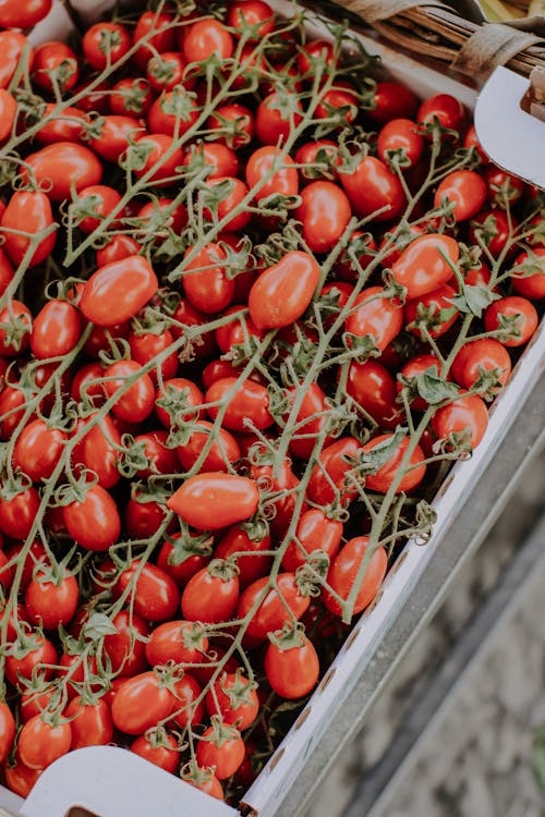 Ripe Red Tomatoes in a Crate