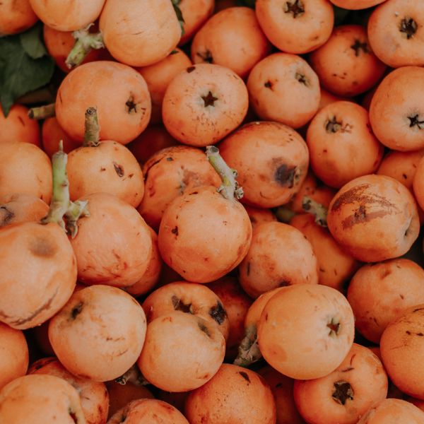 Golden Nugget Loquat