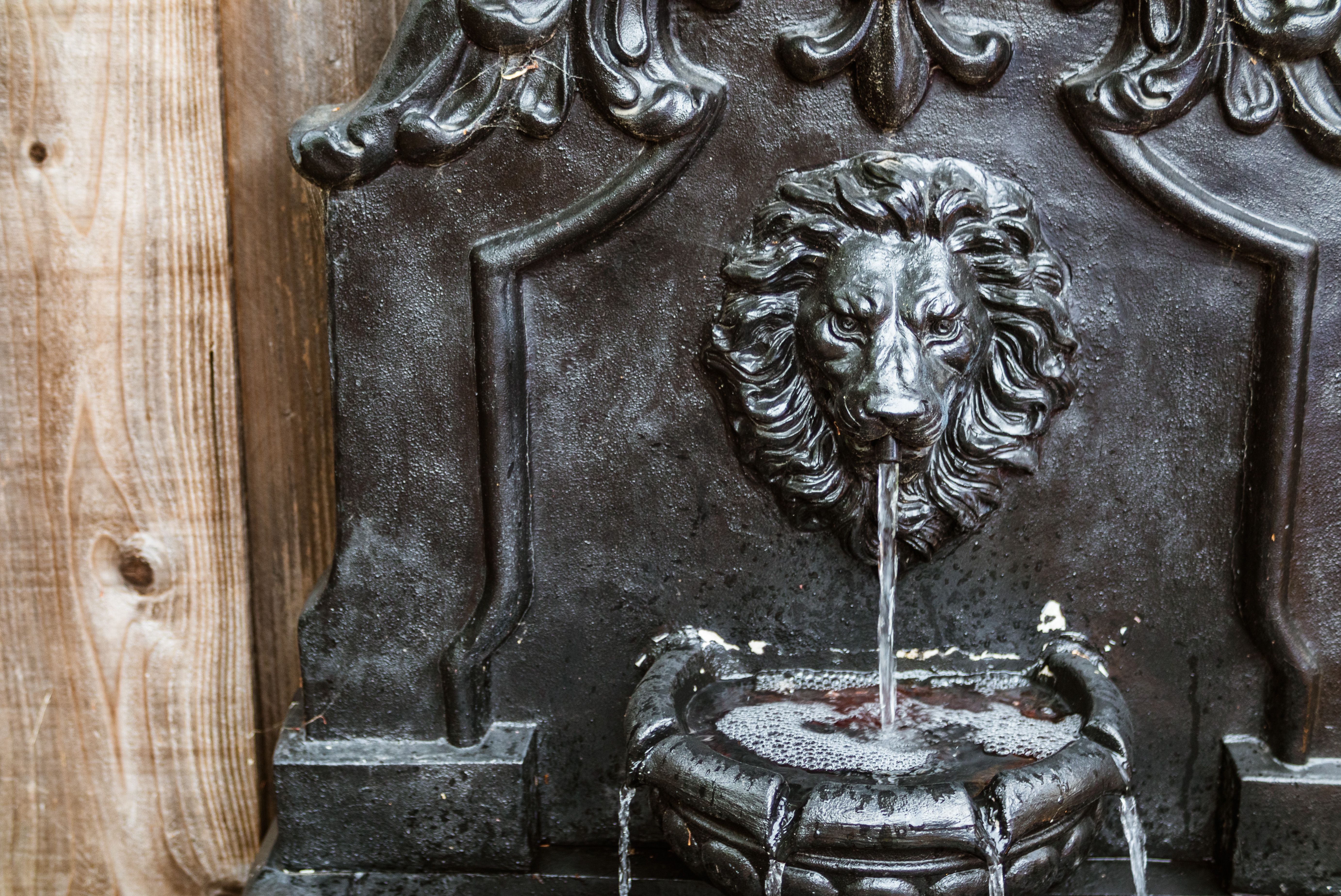 small wall-mounted fountain or bubbling rock feature in a garden corner - small yard hardscape