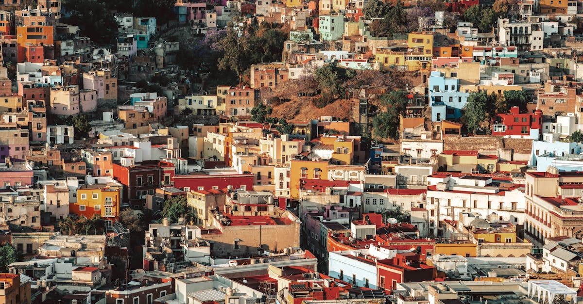 Les marques latino-américaines à connaître