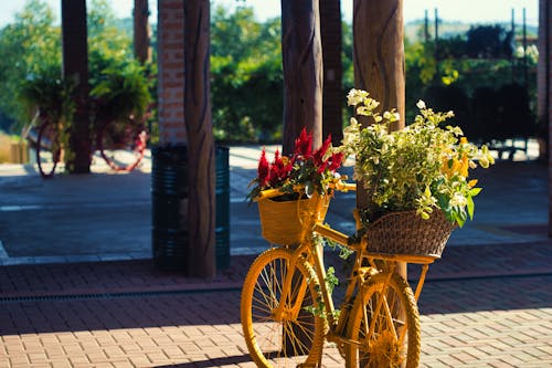 Fotobanka s bezplatnými fotkami na tému bicykel, kvitnúcich rastlín, tkaný košík