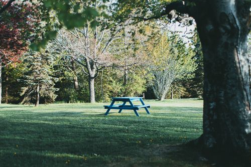 Free A tranquil scene of a blue picnic bench in a vibrant green park under trees. Stock Photo