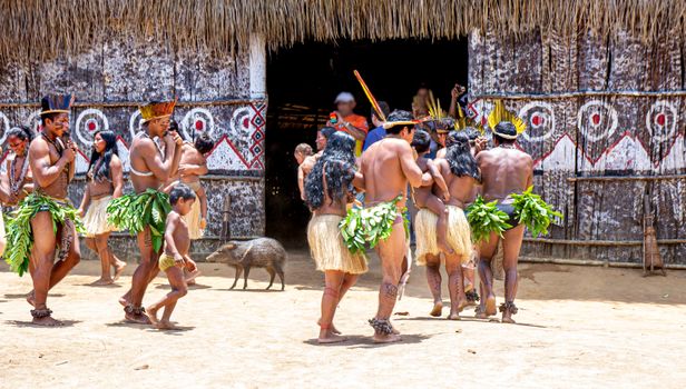 Embera indigenous community visit — Panama