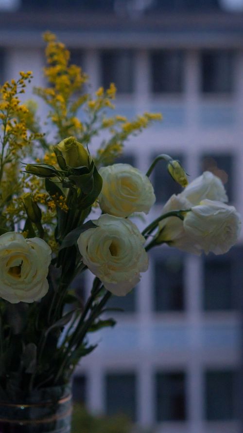 Free 一束花 Stock Photo