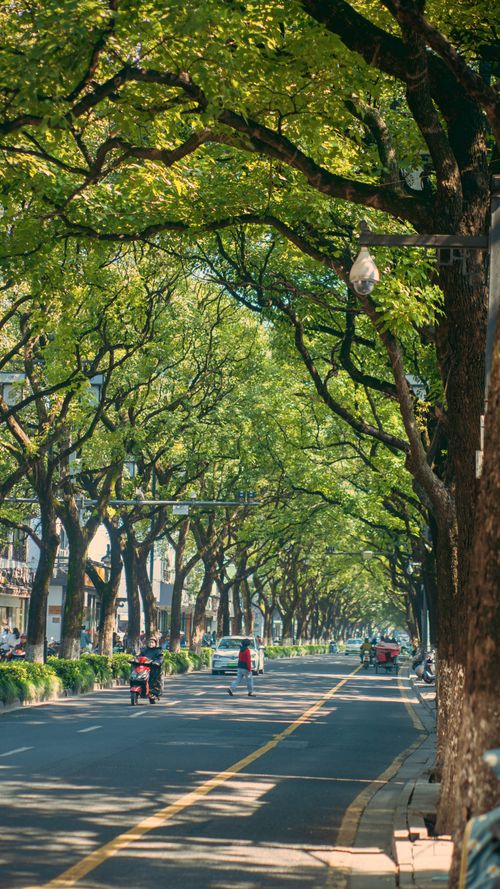 Free 街道的光 Stock Photo
