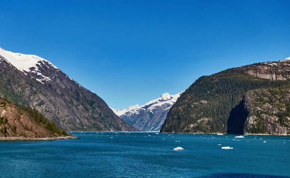 Kenai Fjords sea kayak — Alaska