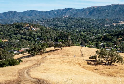 A picturesque landscape featuring rolling hills with golden grass and lush green mountains in the background.