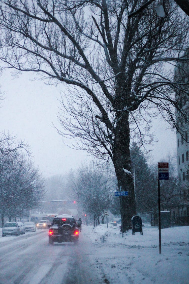 Traffic In Winter