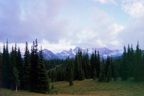 Kostnadsfria Kostnadsfri bild av bergen, fredlig, grönska Stock foto