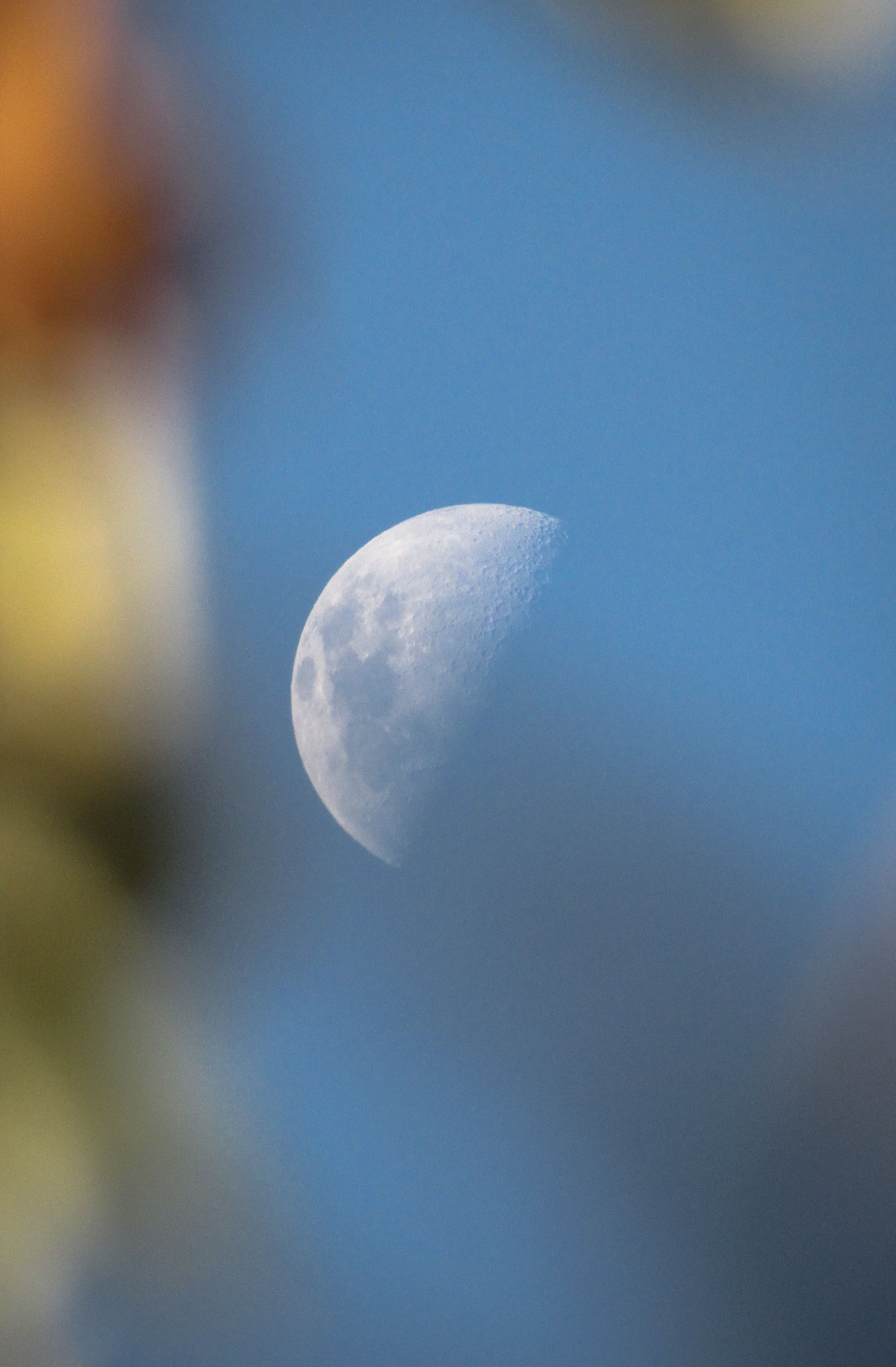 Beautiful close-up of a half moon against a cloudless blue sky with blurred foreground.