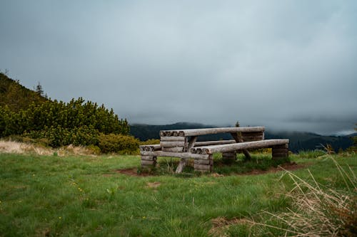 Бесплатное стоковое фото с бревна, деревянная скамейка, деревянный стол