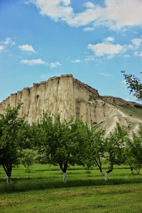 açık hava, arazi, dikey atış içeren Ücretsiz stok fotoğraf